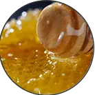 Click here to see the products of category Propolis