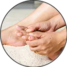 Click here to see the products of category Fungi