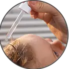 Click here to see the products of category Oils