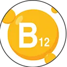 Click here to see the products of category B12