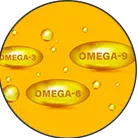 Category