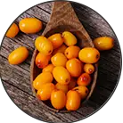 Click here to see the products of category Hippophaes