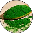 Click here to see the products of category Chlorella