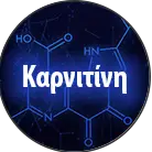 Click here to see the products of category Carnitine