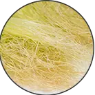 Click here to see the products of category Plant Fibres