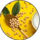 Click here to see the products of category Isoflavones