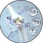 Click here to see the products of category Joints Formulas