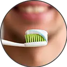 Click here to see the products of category Yokes - Special Care - Brushing Training