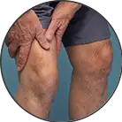 Click here to see the products of category Thigh
