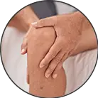 Click here to see the products of category Muscle Pain - Joints