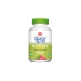 Chewy Vites Adults Multivitamin Complex 60 gummies