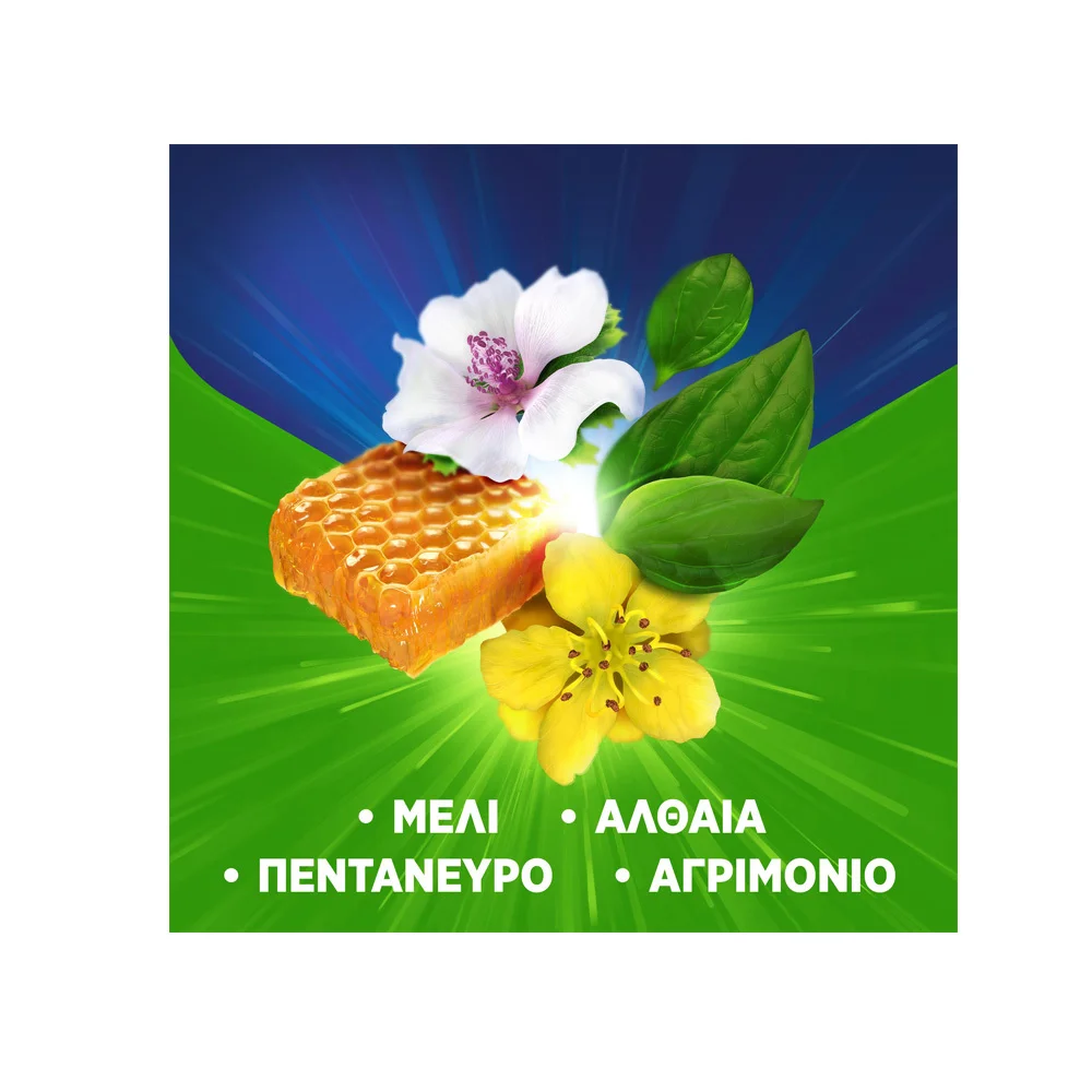 Pan Natural 100% Φυσικό Σιρόπι Για Τον Ξηρό Και Παραγωγικό Βήχα 95ml