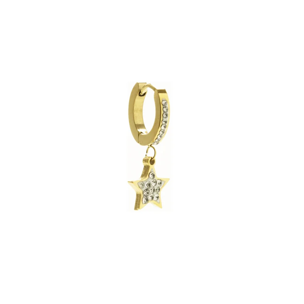 InoPlus Borghetti Pharma Hoop Oro Stella Strass 0826 Hypoallergenic Hoop Earrings Gold With Stars 1 pair