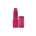 Caudalie Vinotherapist Tinted Lip Balm 4.5gr