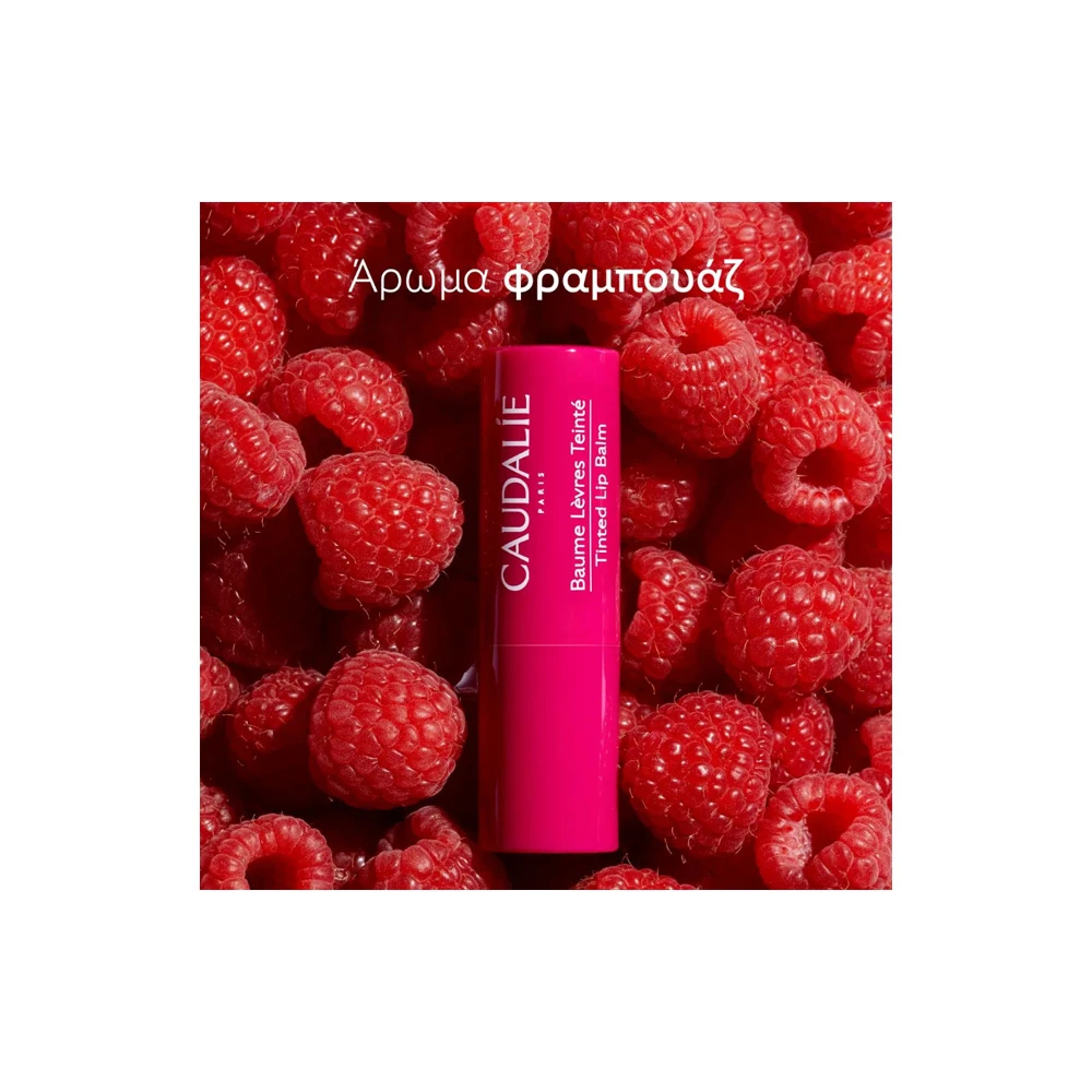 Caudalie Vinotherapist Tinted Lip Balm 4.5gr
