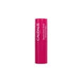 Caudalie Vinotherapist Tinted Lip Balm 4.5gr