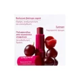 Caudalie Vinotherapist Tinted Lip Balm 4.5gr