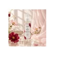 Aloe Colors X Aurora Spiritual Body Elixir 150ml