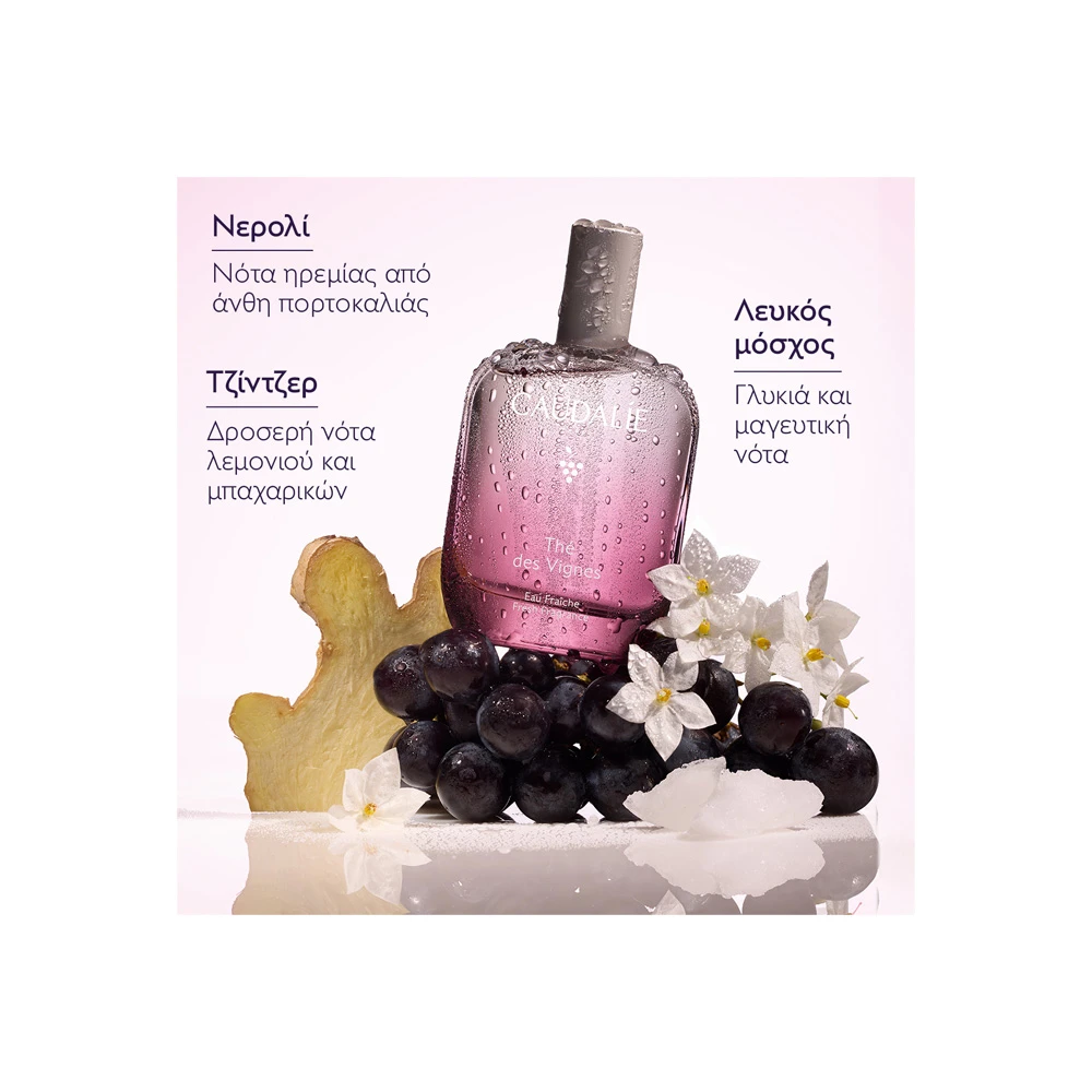 Caudalie Thé Des Vignes Fresh Fragrance Set: Women’s Fragrance 50ml, Nourishing Hand & Nail Cream 30ml, and Shower Gel 50ml